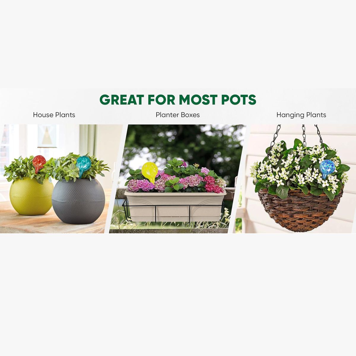 Cart In Mart 6Pcs Plant Watering Globes Glass Self-Watering Bulbs Indoor Outdoor Plants