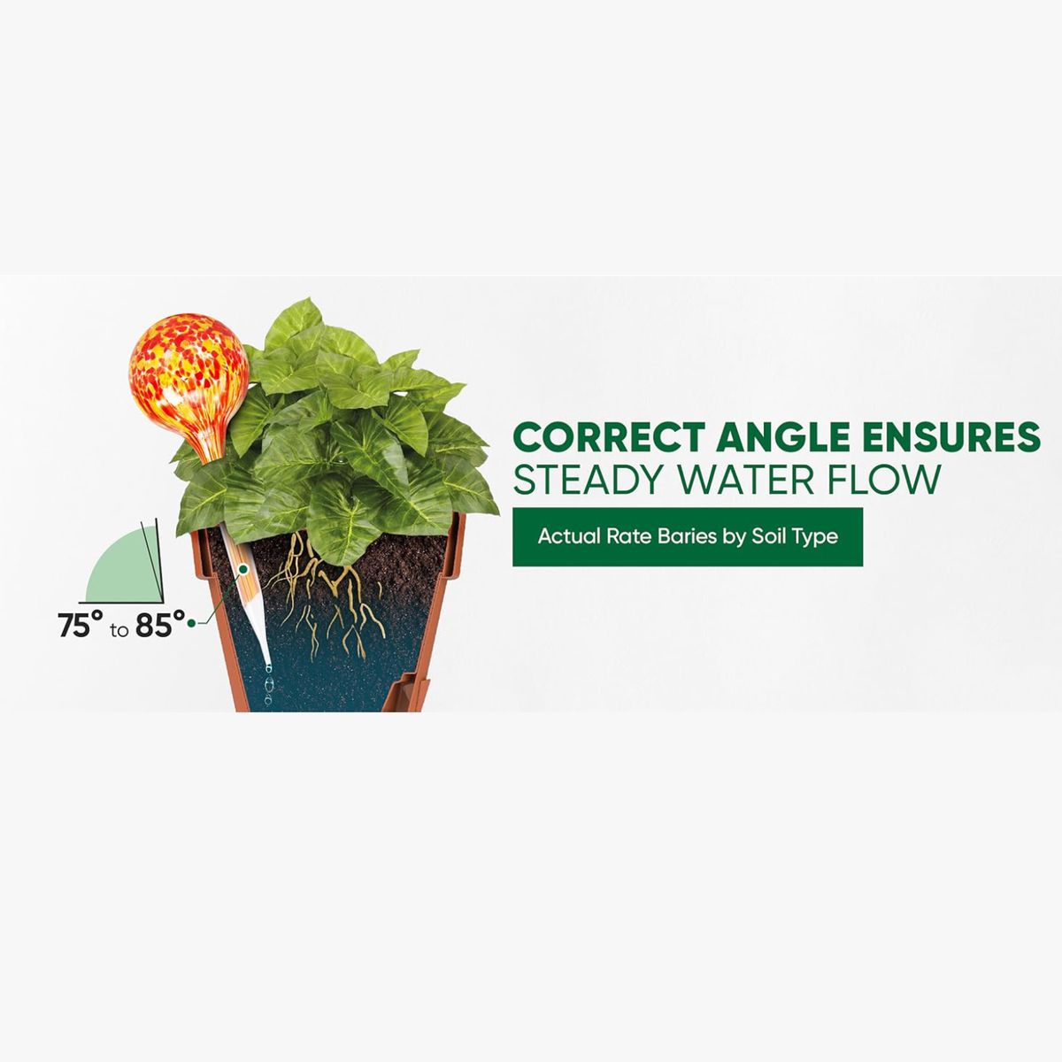 Cart In Mart 6Pcs Plant Watering Globes Glass Self-Watering Bulbs Indoor Outdoor Plants