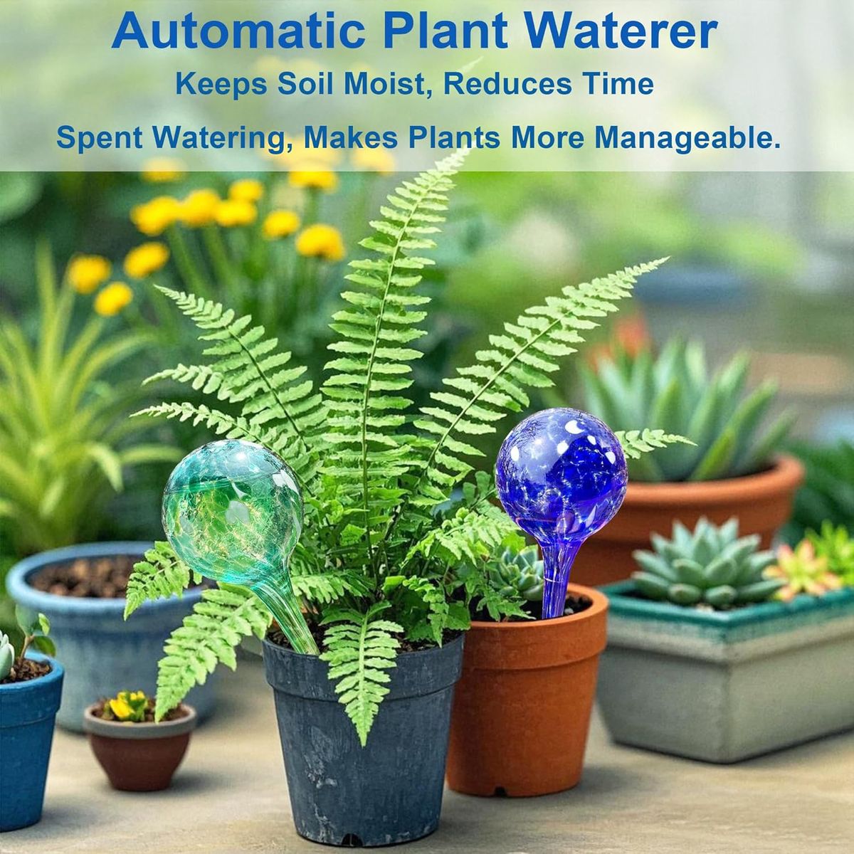 Cart In Mart 6Pcs Plant Watering Globes Glass Self-Watering Bulbs Indoor Outdoor Plants