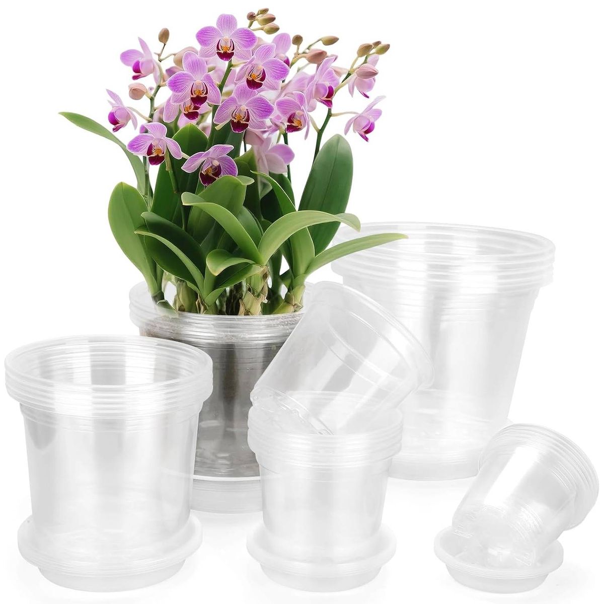 Cart In Mart 20 Pack Clear Nursery Plant Pots with Saucers Flower Pots Drainage Holes