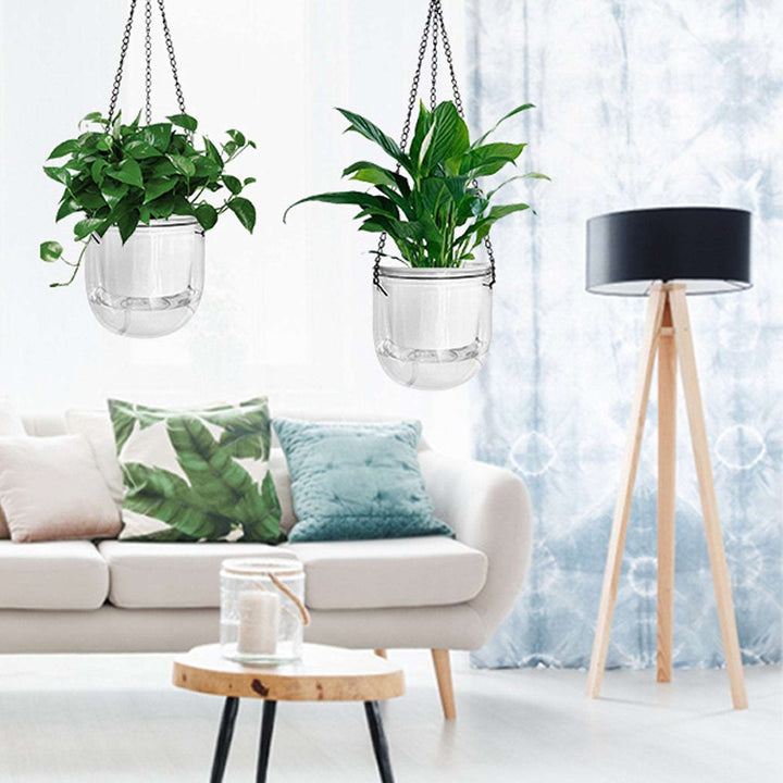 hanging planter indoor