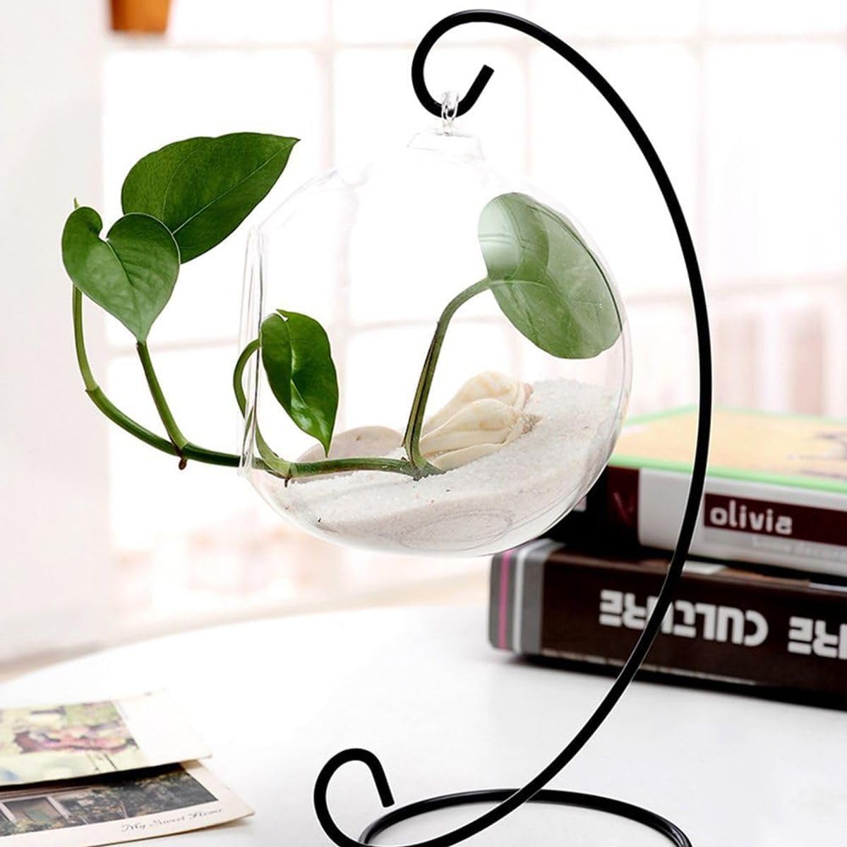 Cart In Mart 10 Pack Ornament Display Stand Holder-Multipurpose Curved Hanging Rack-23cm