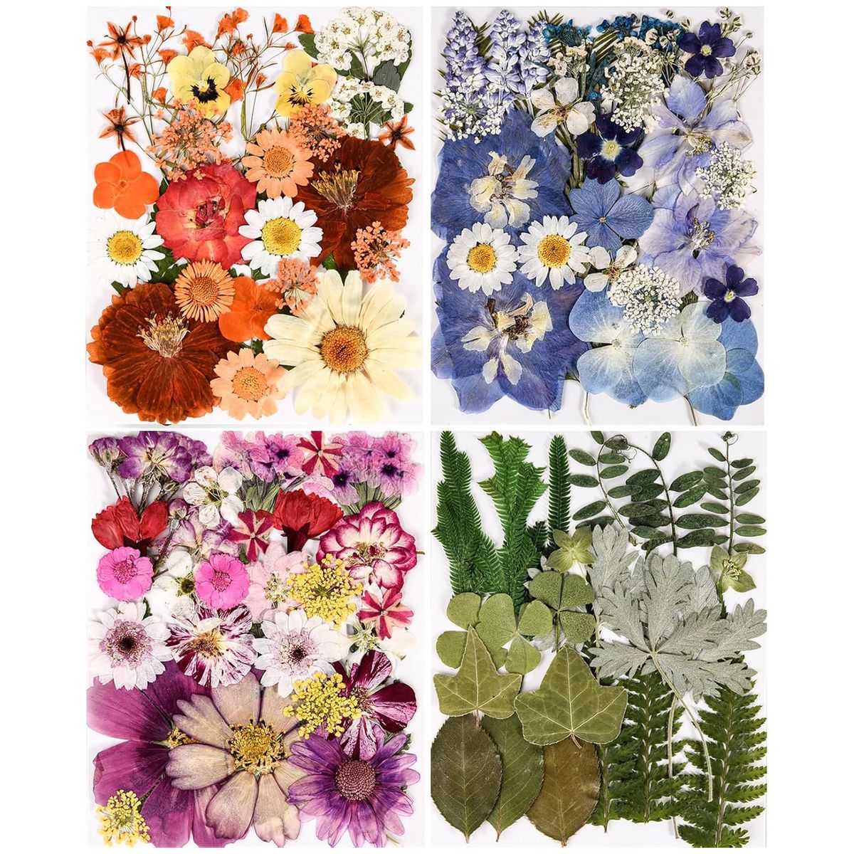 Cart In Mart 110+ PCS Real Dried Pressed Flowers & Leaves Natural Botanical Real Flowers