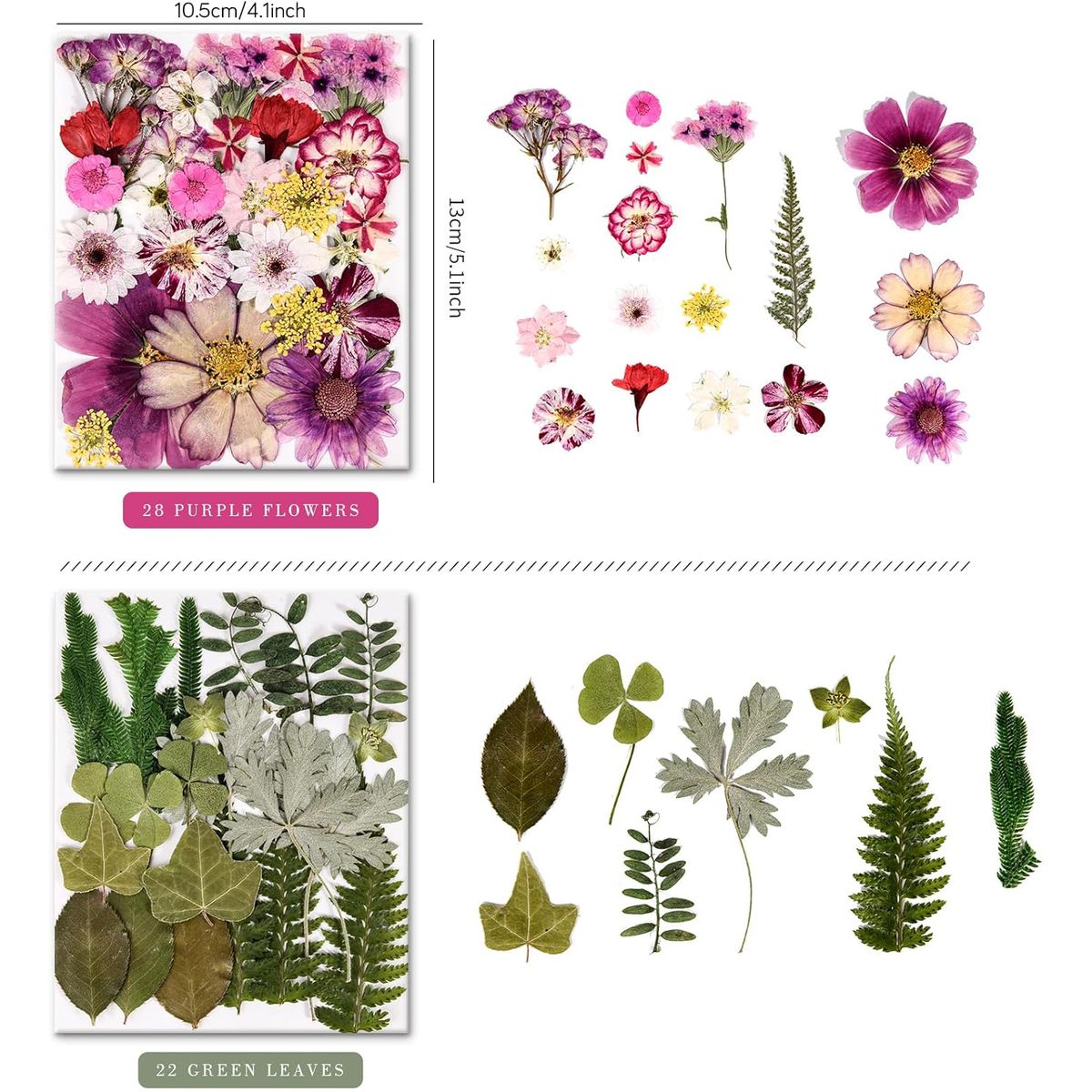 Cart In Mart 110+ PCS Real Dried Pressed Flowers & Leaves Natural Botanical Real Flowers