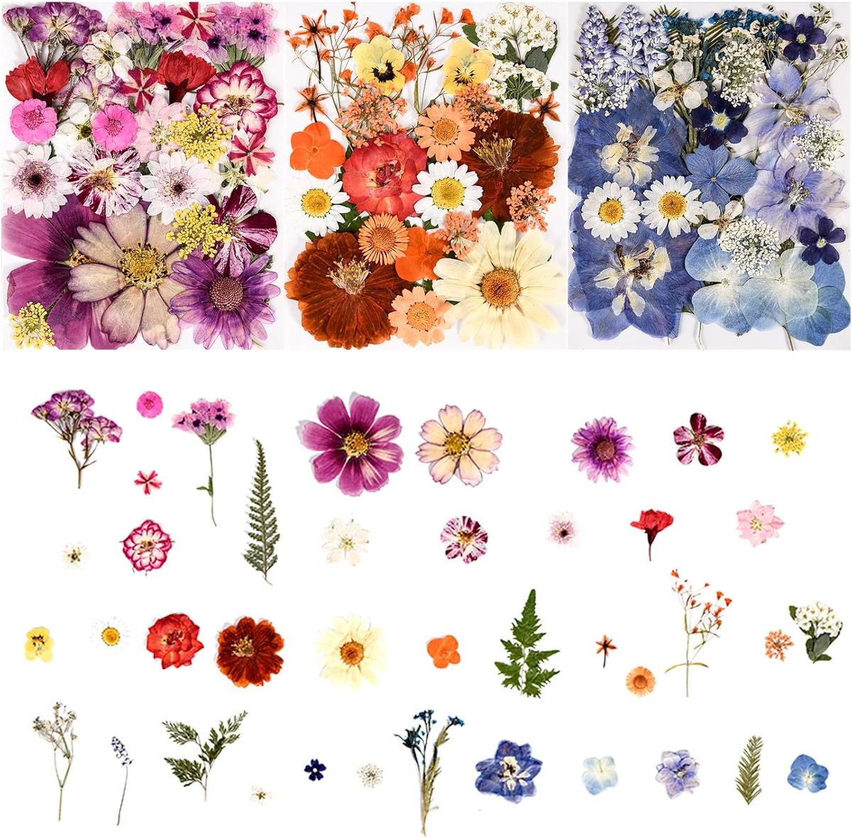 Cart In Mart 110+ PCS Real Dried Pressed Flowers & Leaves Natural Botanical Real Flowers