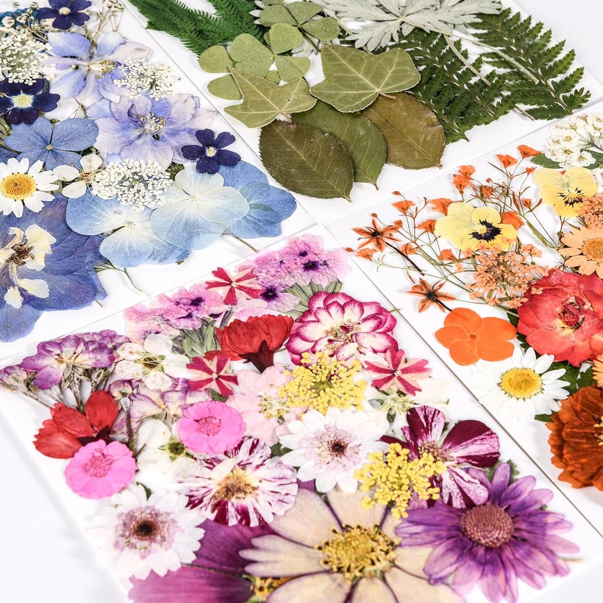 Cart In Mart 110+ PCS Real Dried Pressed Flowers & Leaves Natural Botanical Real Flowers