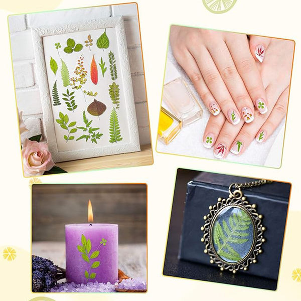 Cart In Mart 110+ PCS Real Dried Pressed Flowers & Leaves Natural Botanical Real Flowers