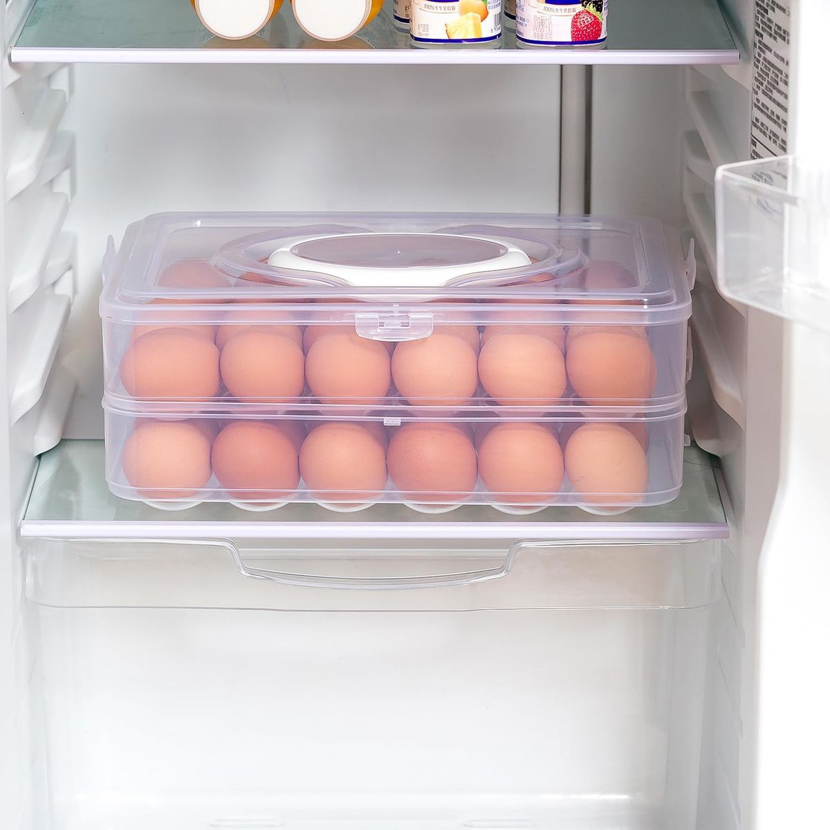Cart In Mart 2-Layer Detachable Deviled Egg Carrier 48 Egg Storage Container with Lid