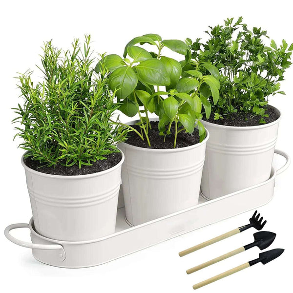 Cart In Mart herb garden Kitchen Window Herb Garden Planter Pots With Tray- White