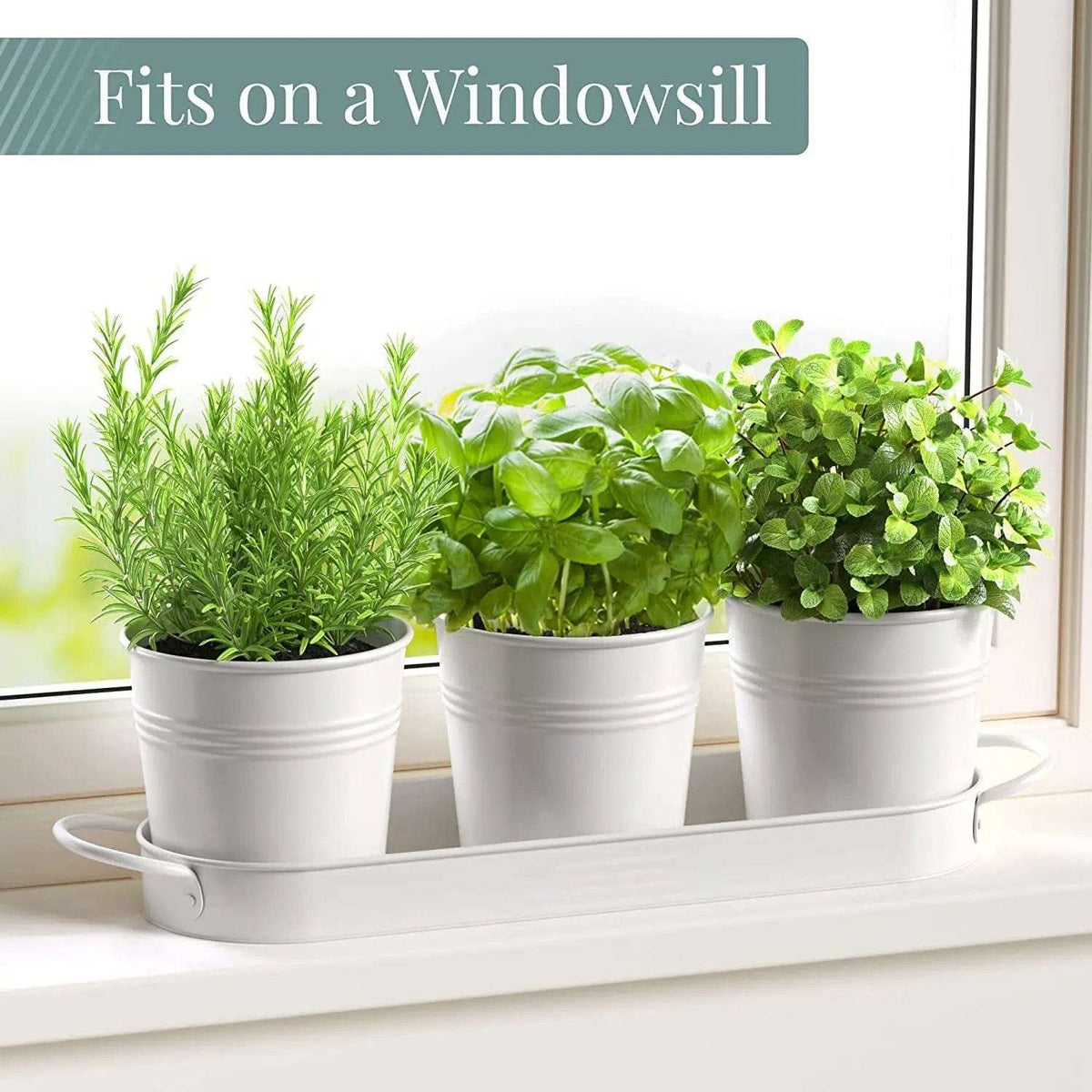 Cart In Mart herb garden Kitchen Window Herb Garden Planter Pots With Tray- White