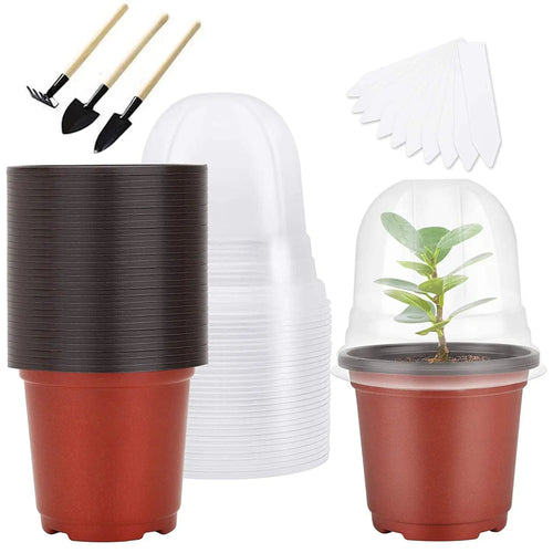 clear humidity domes and numbered plant labels