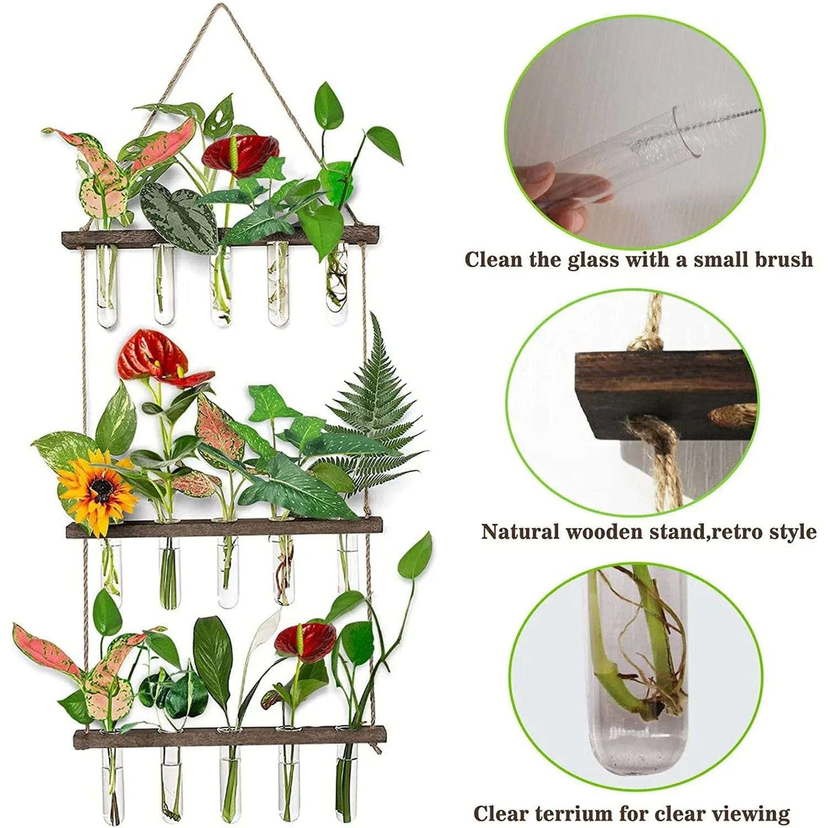 Cart In Mart Terrarium 3 Tier Wall Hanging Planter Terrarium Kit