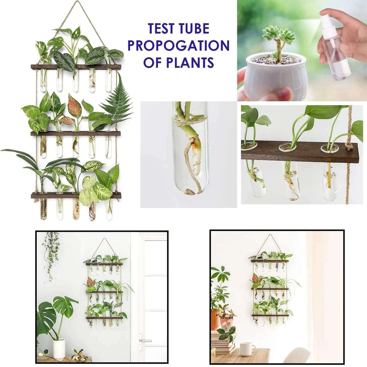 Cart In Mart Terrarium 3 Tier Wall Hanging Planter Terrarium Kit
