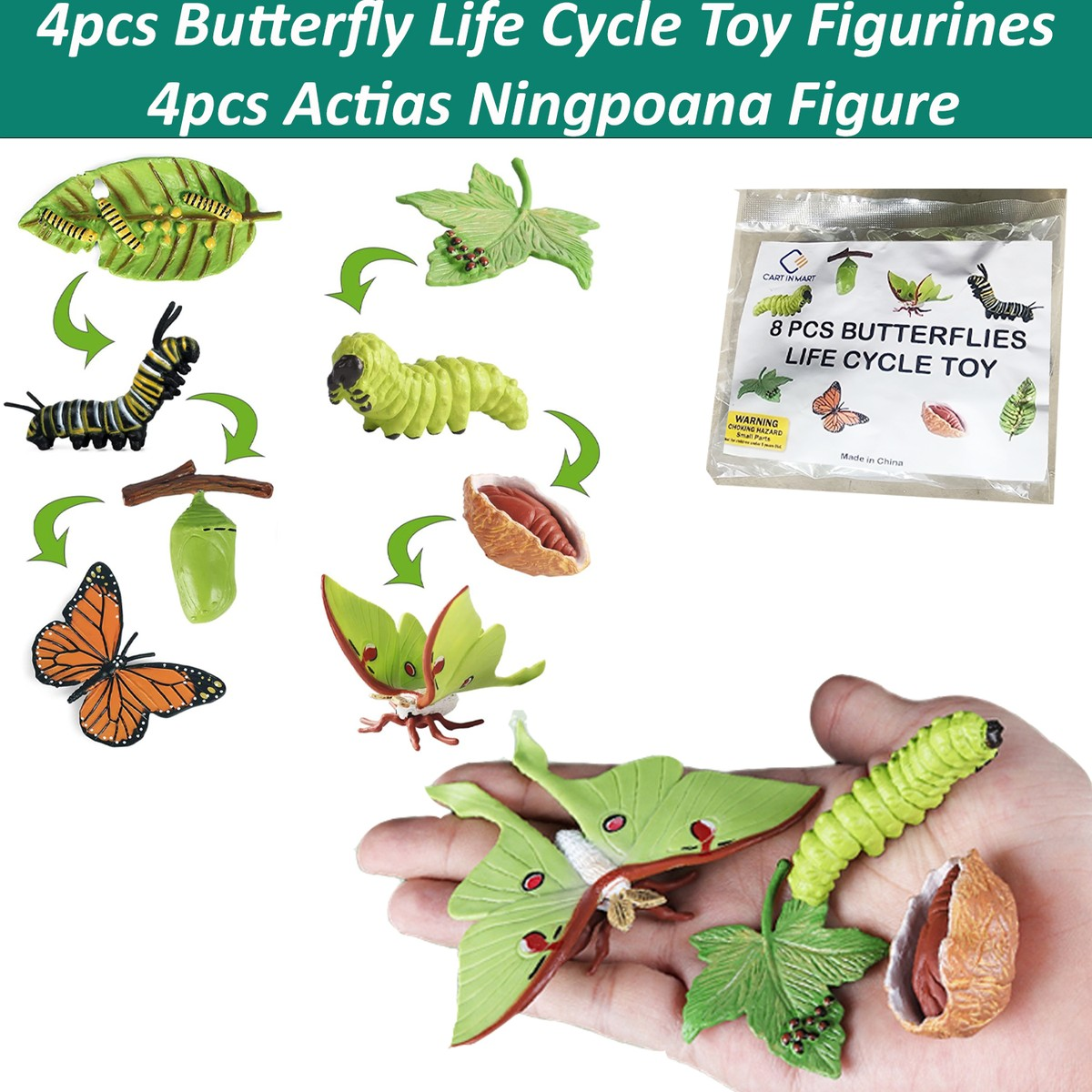 Cart In Mart Monarch Butterfly Life Growth Cycle & Actias Ningpoana Montessori Kids Toys