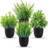 Indoor Decoration
