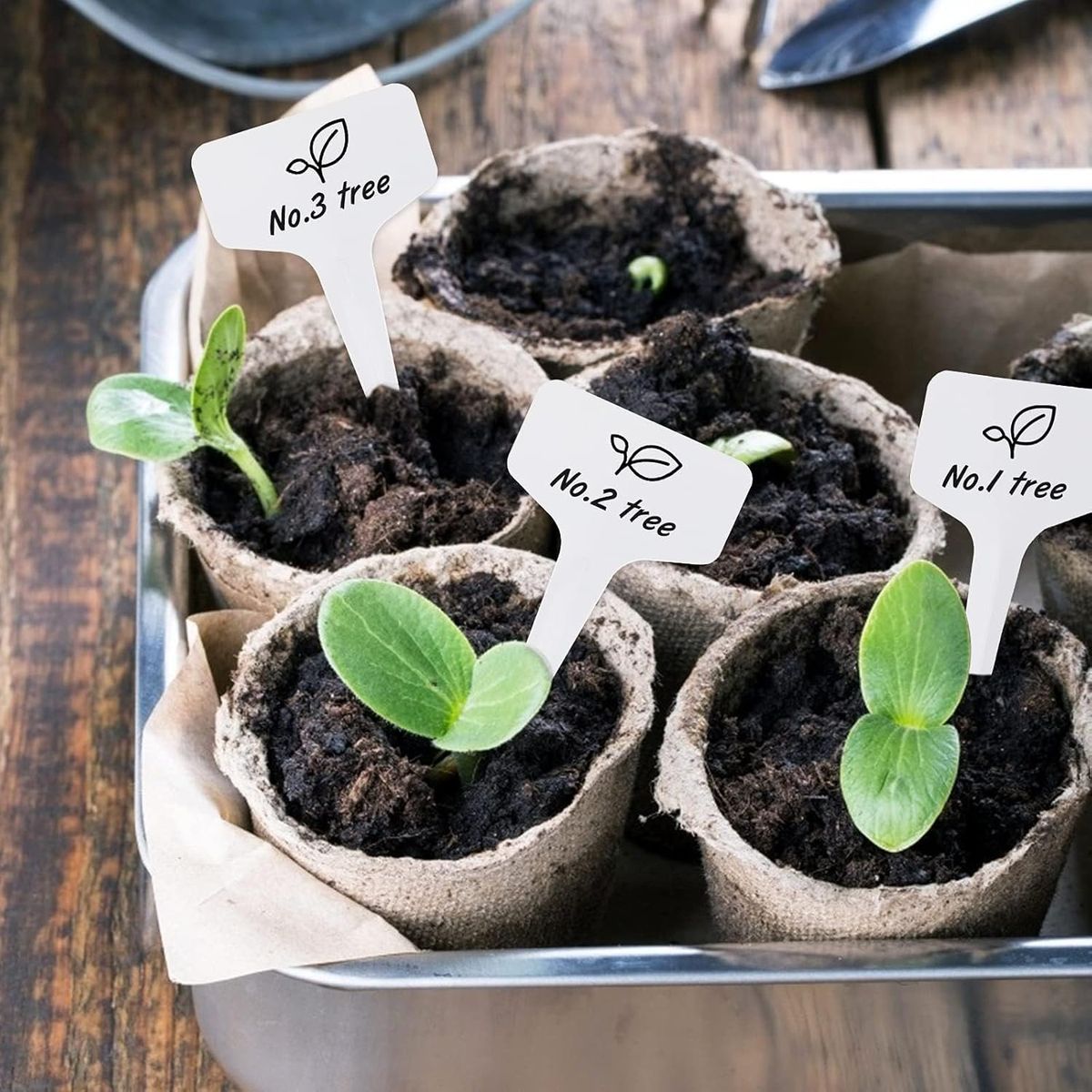 Cart In Mart 100 Piece Waterproof Plastic Plant Name Labels Garden Tags & Marker-10cm