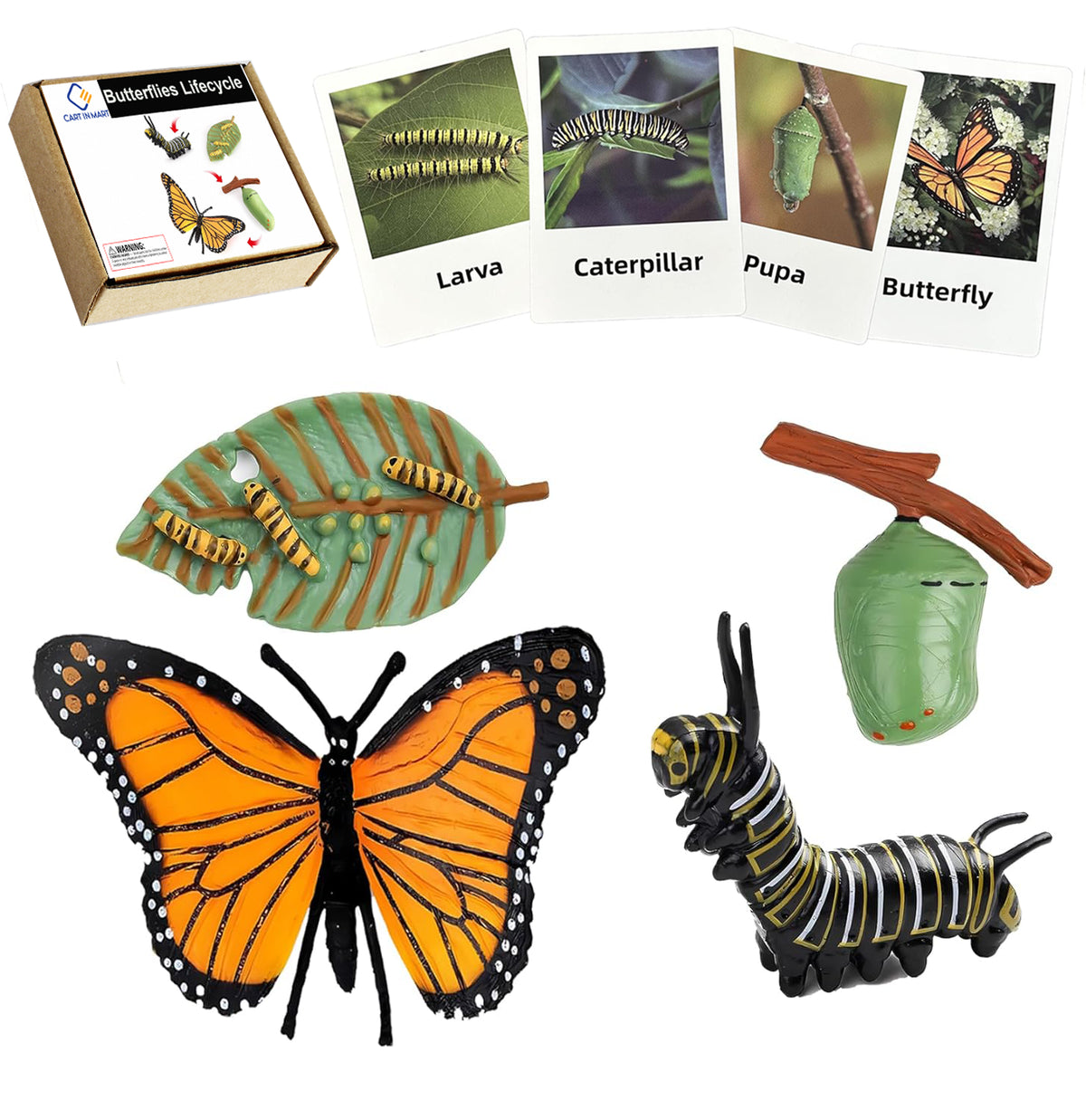Cart In Mart Butterfly Life Growth Cycle With Cards Realistic Model Montessori Kids Toys