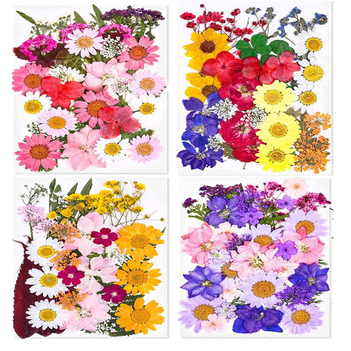 Cart In Mart 140 Pack Dried Pressed Flowers For Resin Scrapbooking Candle Soap Nail Art